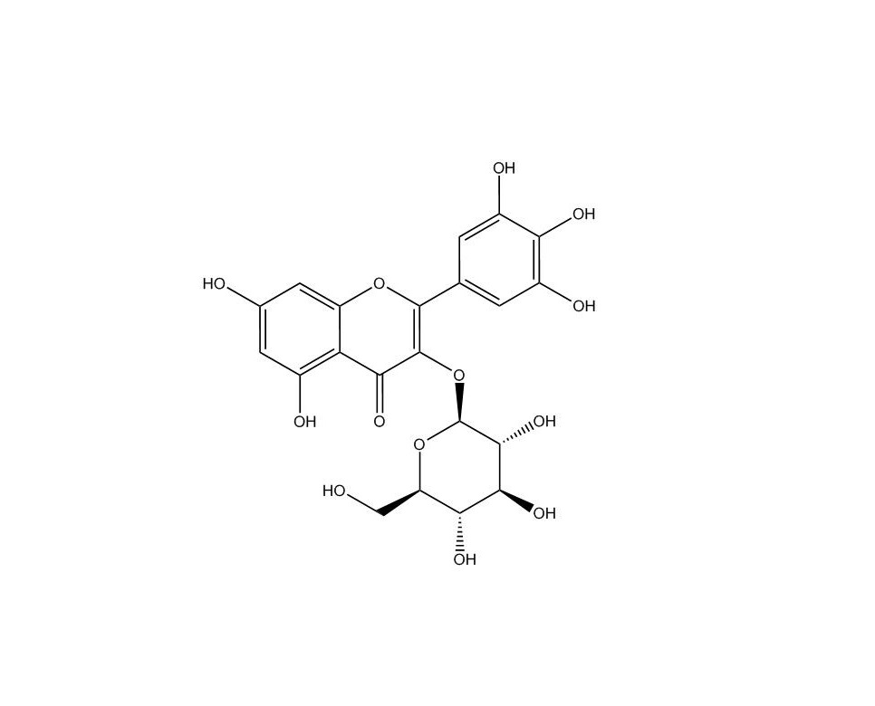楊梅素-3-O-葡萄糖苷|19833-12-6